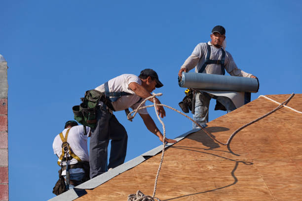 Best Roof Repair Services  in De Queen, AR